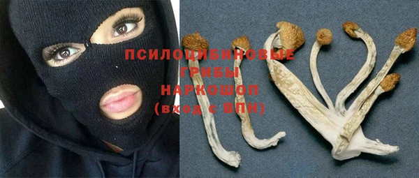 прущий лед Усмань